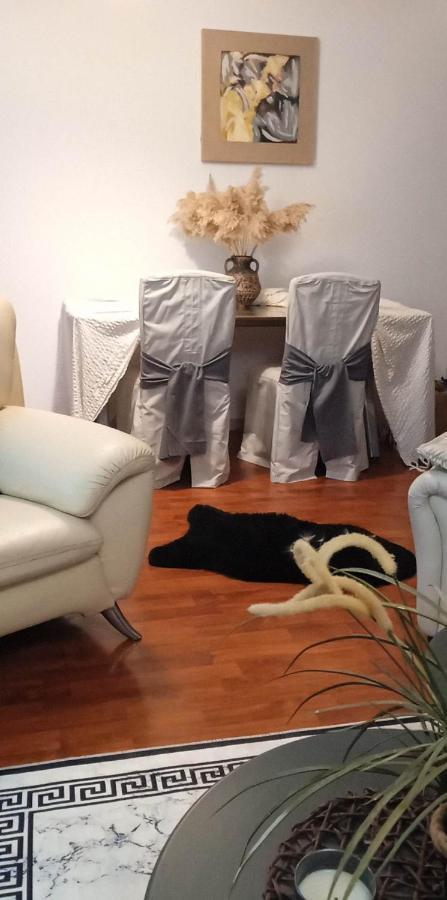 Lovely Cozy Apartment In The Entrance Of Nicosia Aglantzia 외부 사진